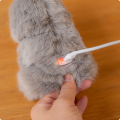 Mirumi™ Companion Robot (Global Pilot Batch)